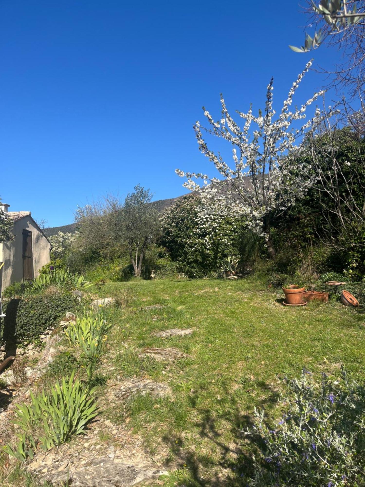 Cabanon Entoure De Montagnes Et D'Oliviers Villa นียงส์ ภายนอก รูปภาพ
