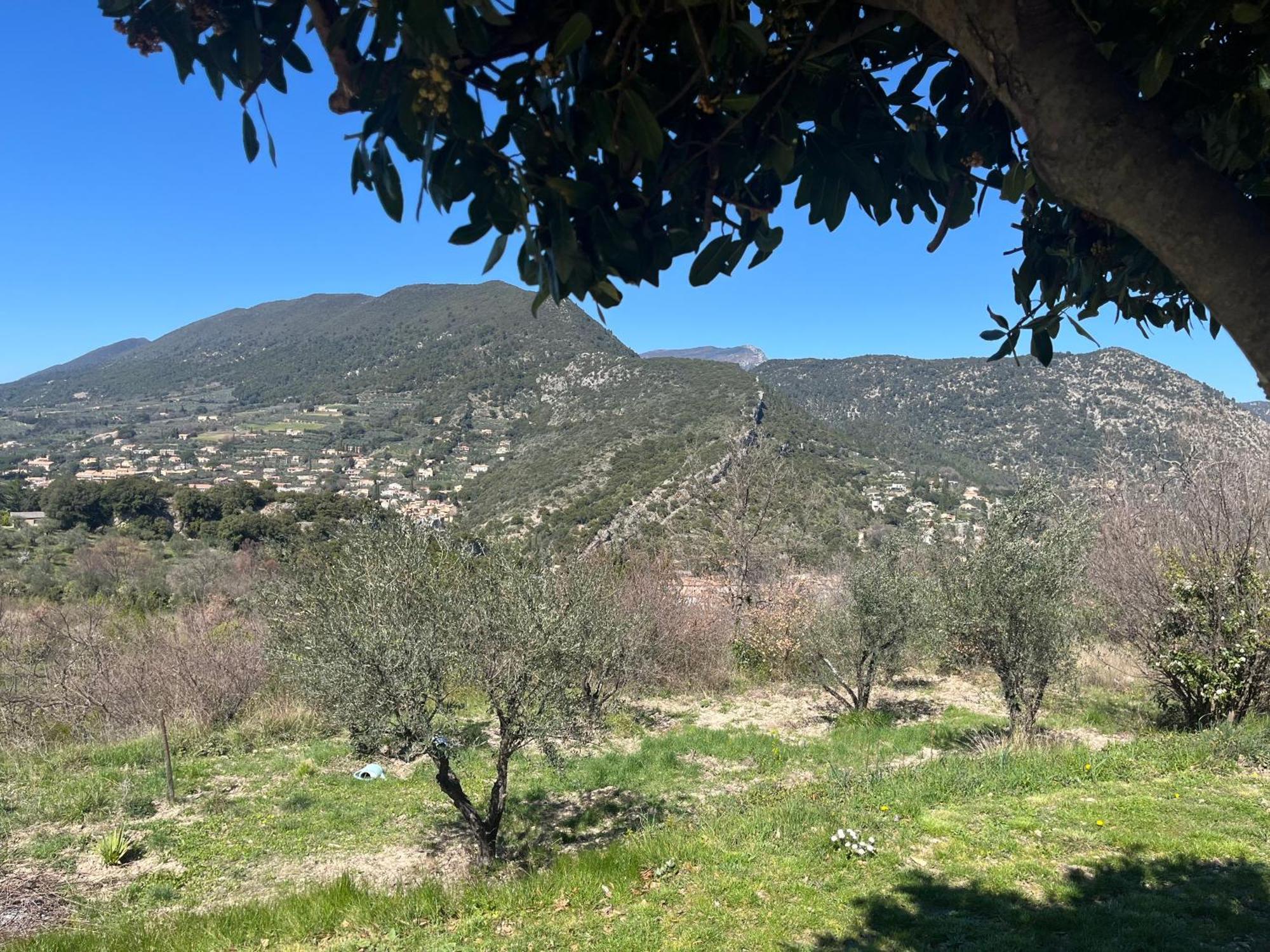 Cabanon Entoure De Montagnes Et D'Oliviers Villa นียงส์ ภายนอก รูปภาพ